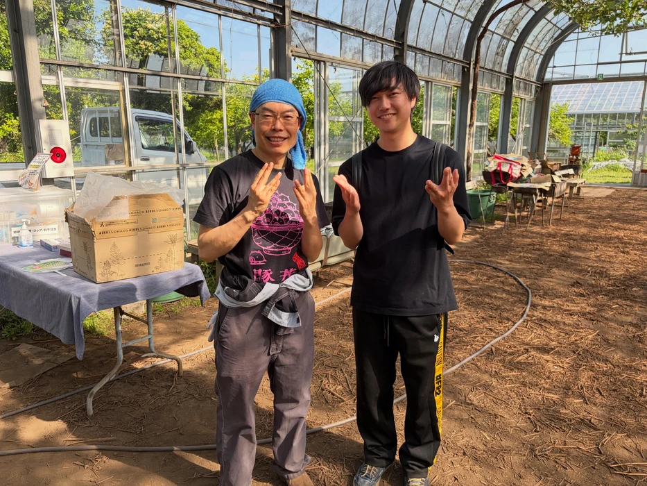 画像243