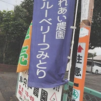 画像287