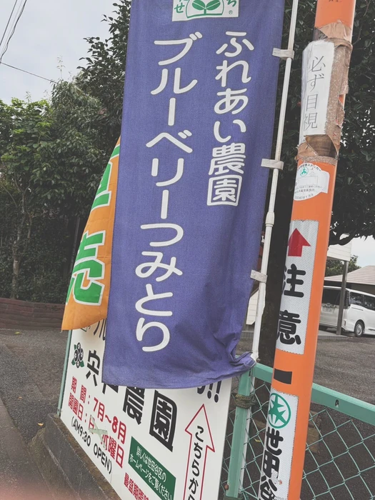 画像287