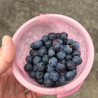 画像289