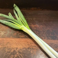 画像302